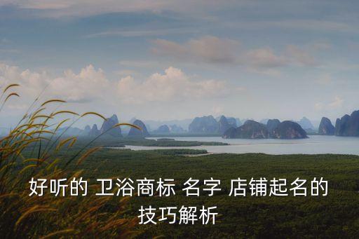衛(wèi)浴配件品牌店鋪名字,衛(wèi)浴品牌的名字高檔大氣有哪些