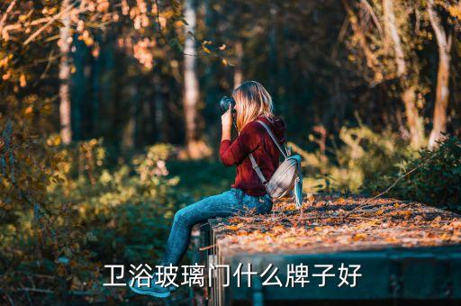  衛(wèi)浴玻璃門什么牌子好