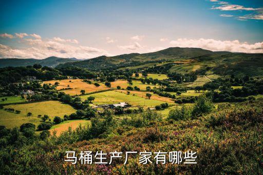 馬桶生產(chǎn)廠家有哪些