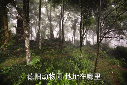  德陽(yáng)動(dòng)物園 地址在哪里