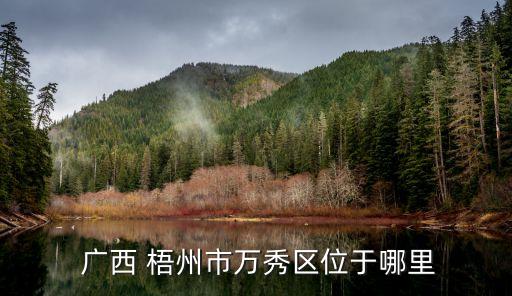  廣西 梧州市萬秀區(qū)位于哪里