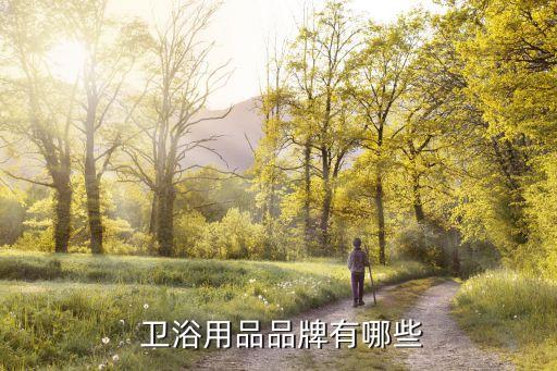  衛(wèi)浴用品品牌有哪些