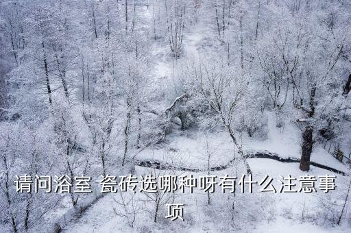 衛(wèi)浴地面瓷磚圖片,地面瓷磚顏色大全圖片