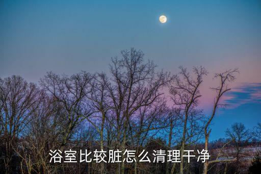 日常打理衛(wèi)浴步驟圖片視頻