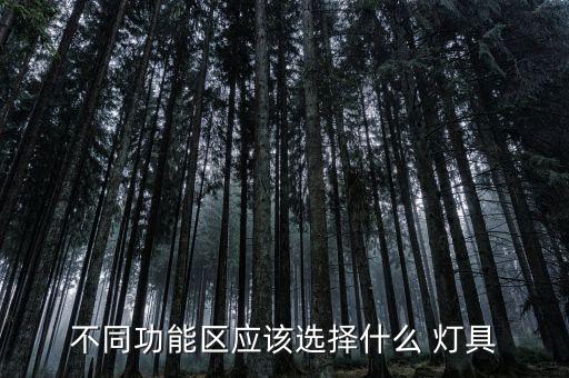 不同功能區(qū)應該選擇什么 燈具