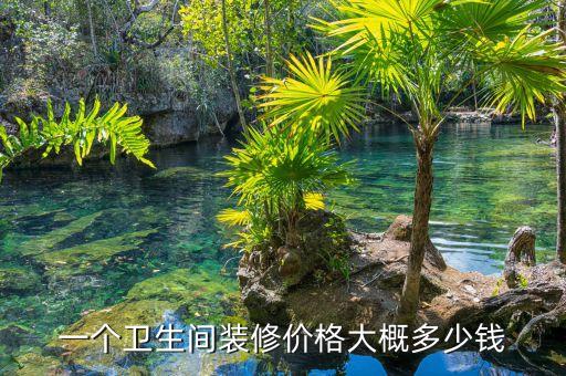 一級(jí)衛(wèi)浴價(jià)格表及圖片視頻,過(guò)江龍衛(wèi)浴價(jià)格表圖片