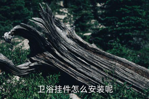  衛(wèi)浴掛件怎么安裝呢