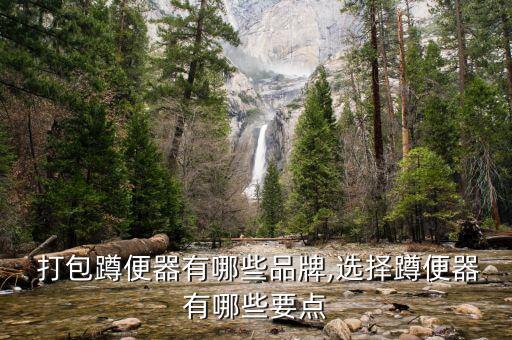  打包蹲便器有哪些品牌,選擇蹲便器有哪些要點