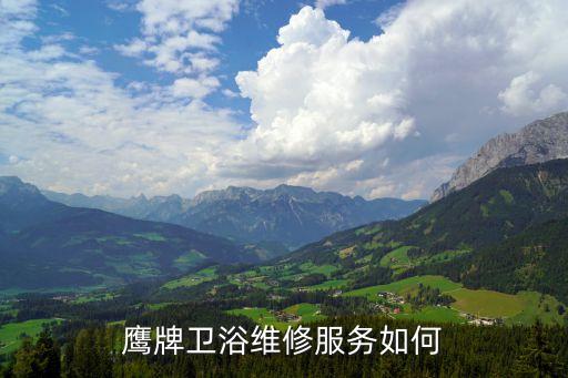 鷹牌衛(wèi)浴維修服務(wù)如何