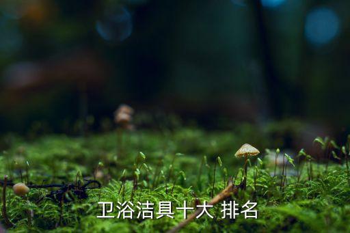 非知名品牌衛(wèi)浴排名前十,中國知名品牌床墊排名前十