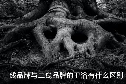 一線(xiàn)品牌與二線(xiàn)品牌的衛(wèi)浴有什么區(qū)別