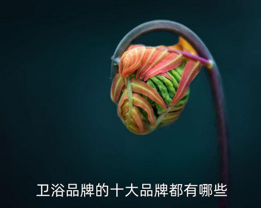  衛(wèi)浴品牌的十大品牌都有哪些