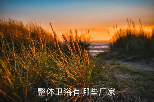 整體衛(wèi)浴有哪些廠家