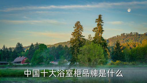 中國十大浴室柜品牌是什么