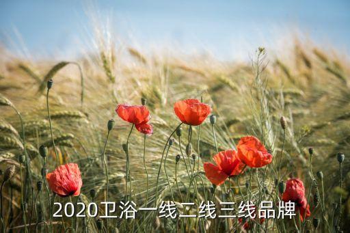 2020衛(wèi)浴一線二線三線品牌