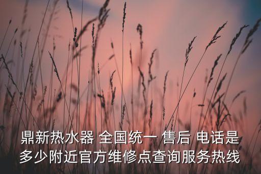 鼎新熱水器 全國(guó)統(tǒng)一 售后 電話是多少附近官方維修點(diǎn)查詢服務(wù)熱線