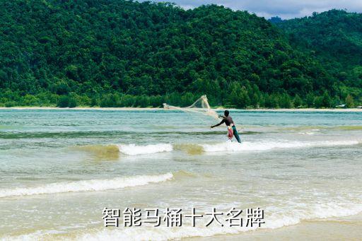  智能馬桶十大名牌