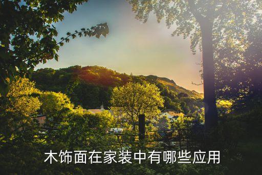 木飾面衛(wèi)浴店效果圖片