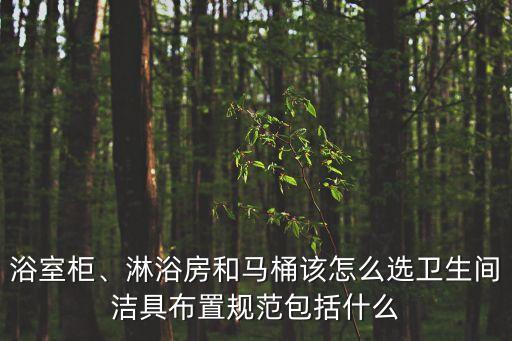 浴室柜、淋浴房和馬桶該怎么選衛(wèi)生間潔具布置規(guī)范包括什么