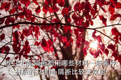 做衛(wèi)生間 隔斷都用哪些材料一般哪種材質(zhì)的衛(wèi)生間 隔斷比較受歡迎