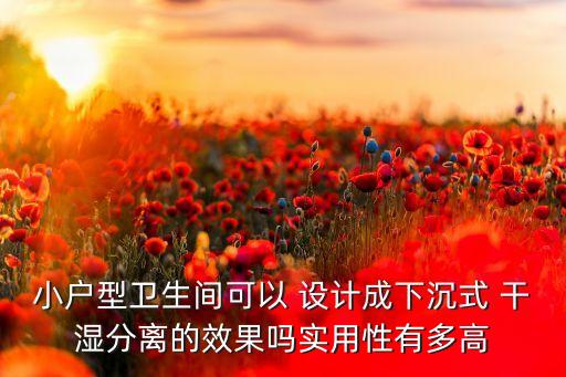 小戶型衛(wèi)生間可以 設(shè)計(jì)成下沉式 干濕分離的效果嗎實(shí)用性有多高