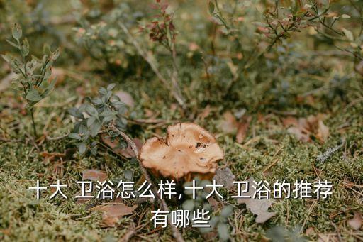 十大 衛(wèi)浴怎么樣,十大 衛(wèi)浴的推薦有哪些