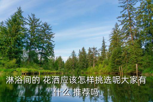 淋浴間的 花灑應(yīng)該怎樣挑選呢大家有什么 推薦嗎