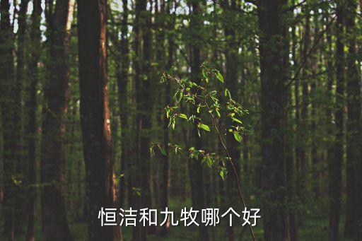 恒潔和九牧哪個好