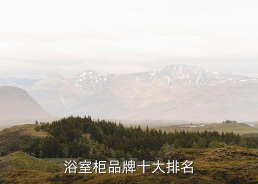 安華衛(wèi)浴柜分幾種品牌嗎