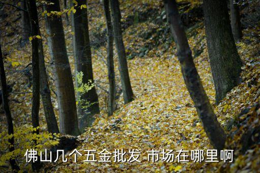 佛山幾個五金批發(fā) 市場在哪里啊