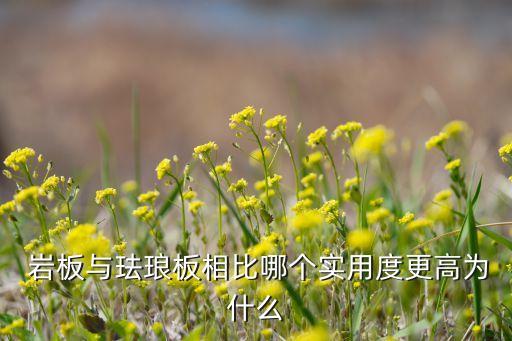  巖板與琺瑯板相比哪個實用度更高為什么