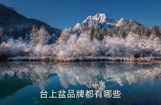 臺(tái)上盆品牌都有哪些