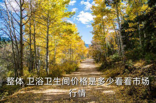 整體 衛(wèi)浴衛(wèi)生間價格是多少看看市場行情