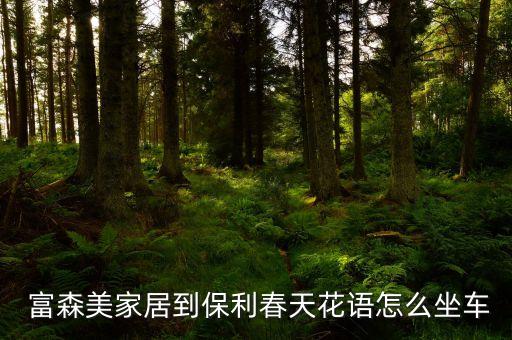  富森美家居到保利春天花語怎么坐車