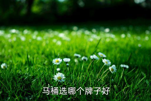 九牧王衛(wèi)浴馬桶價格表圖片,九牧衛(wèi)浴馬桶價格表