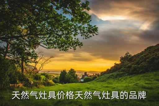 天然氣灶具價(jià)格天然氣灶具的品牌