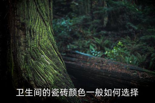 衛(wèi)生間的瓷磚顏色一般如何選擇
