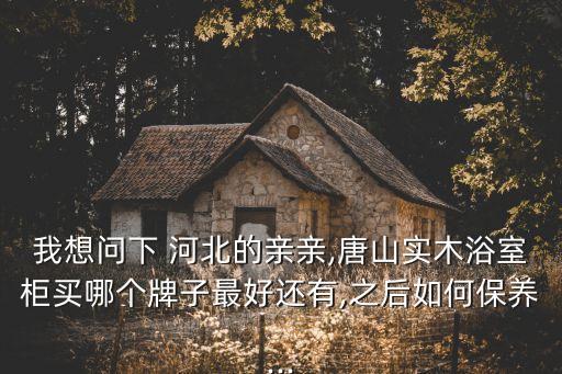 河北品牌衛(wèi)浴柜,衛(wèi)浴柜品牌排行榜前十名有哪些