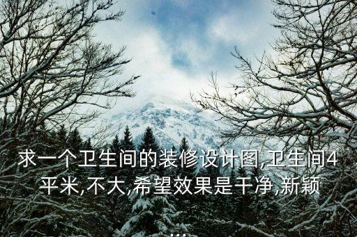 求一個(gè)衛(wèi)生間的裝修設(shè)計(jì)圖,衛(wèi)生間4 平米,不大,希望效果是干凈,新穎...