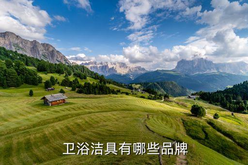泉州市陶瓷衛(wèi)浴品牌大全,陶瓷衛(wèi)浴十大品牌大全