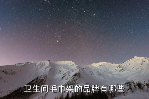 衛(wèi)生間毛巾架的品牌有哪些