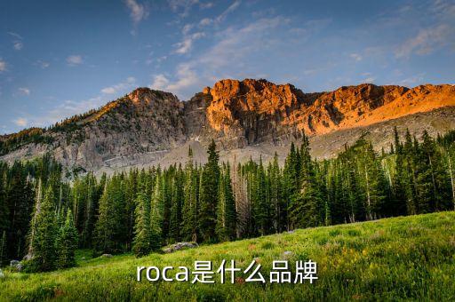 樂家衛(wèi)浴十大品牌推薦圖片,世界十大高端衛(wèi)浴品牌推薦