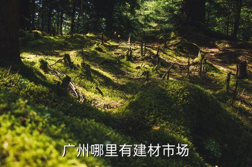 天河區(qū)五金衛(wèi)浴批發(fā)店電話