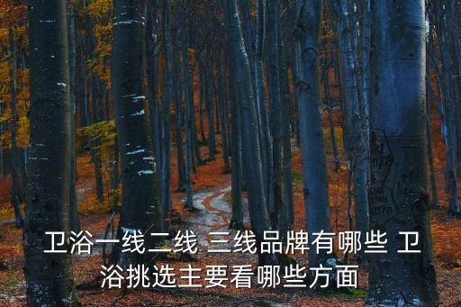  衛(wèi)浴一線二線 三線品牌有哪些 衛(wèi)浴挑選主要看哪些方面