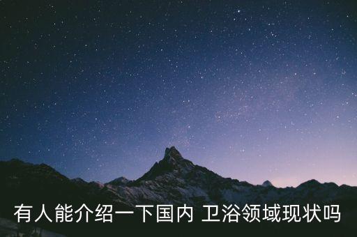 有人能介紹一下國內 衛(wèi)浴領域現(xiàn)狀嗎