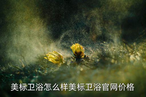 美標(biāo)衛(wèi)浴怎么樣美標(biāo)衛(wèi)浴官網(wǎng)價格