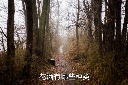 尚高衛(wèi)浴花灑款式圖片大全
