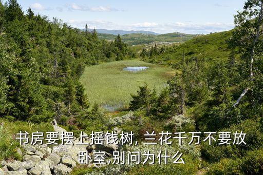 書房要擺上搖錢樹, 蘭花千萬不要放臥室,別問為什么