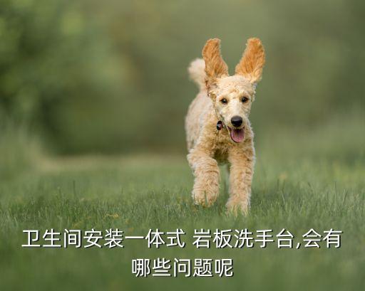 巖板能做衛(wèi)浴墻面嘛圖片