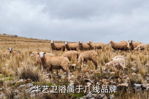  華藝衛(wèi)浴屬于幾線品牌